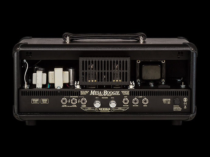 Rectoverb25-head-BK_lg