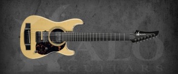 Halo Electric Acoustic