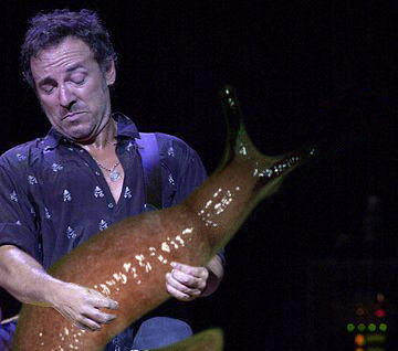 slug-solos-bruce