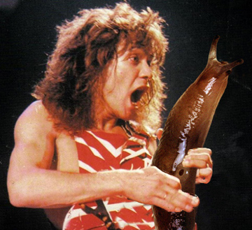 slug-solos-eddie