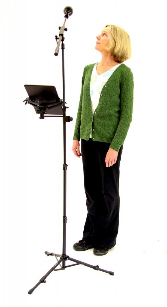 gostand 2