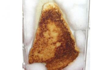 Virgin Mary Toast