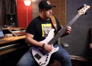 Ibanez MDM1005