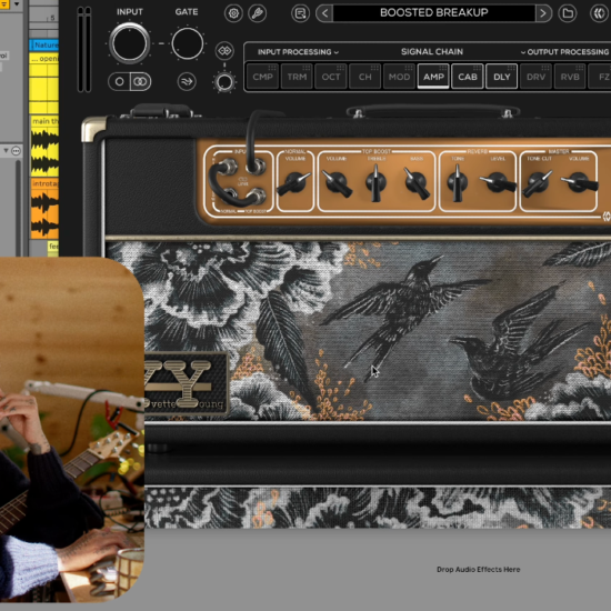 A photo of the Mixwave Yvette Young plugin