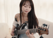 A photo of the Ibanez MDM1605